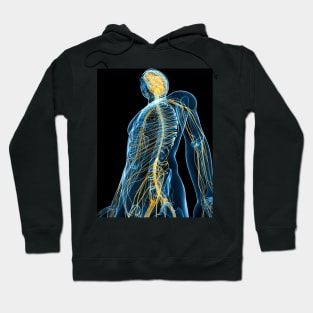 Human nervous system, artwork (F004/1384) Hoodie